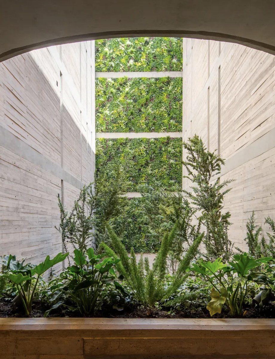 ADMEXICO's tweet photo. La naturaleza y la luz juega un papel central en el diseño de esta nueva joya urbana. Tienes que conocerla: https://t.co/xKZUwFNlY0 https://t.co/hoBiVEsiV7