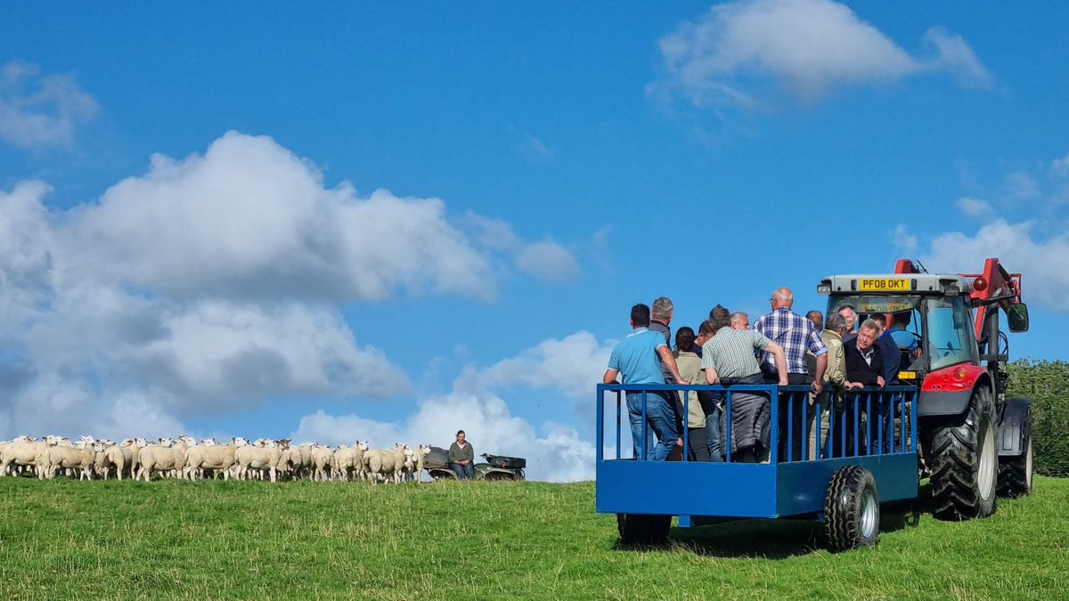 Orton Fells Farmer Cluster tweet media