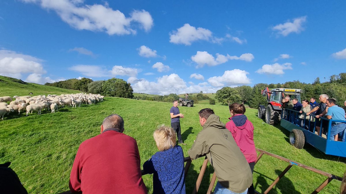 Orton Fells Farmer Cluster tweet media