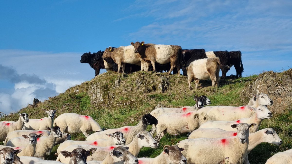 Couldn’t have asked for better weather or a better venue for our recent trip to Matson Ground in the Lake District.  Fantastic day and great see sustainable food production working so well in what’s usually a pretty wet and harsh environment. #farming #foodproduction