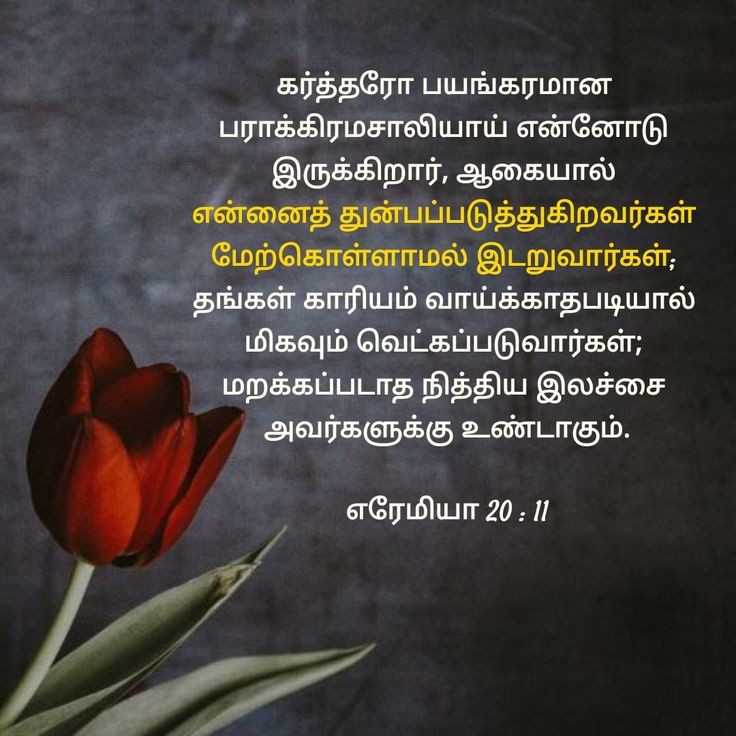 mohandavid10's tweet photo. https://t.co/vdfxhutHJr