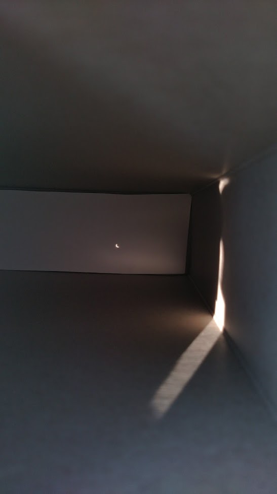 Jon (IndomitableFox) tweet media