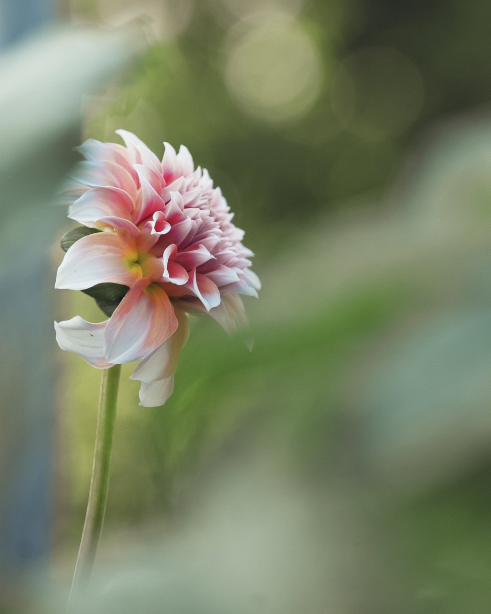 Aaron Burden tweet media