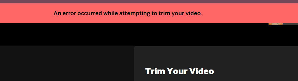 Linden🍋🐝 (still spooky) tweet media