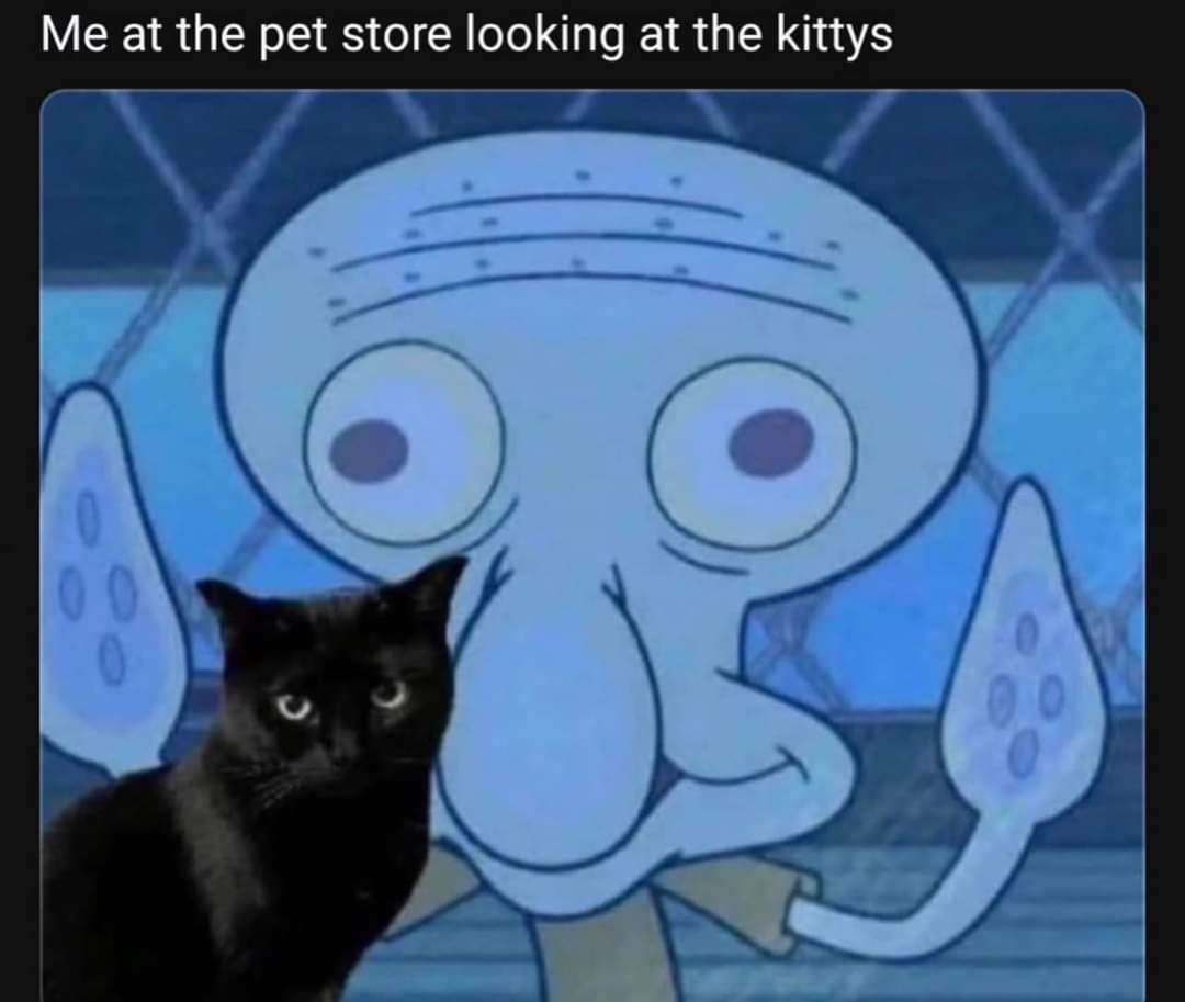 WholesomeMeme's tweet photo. https://t.co/yqqNlR8imY