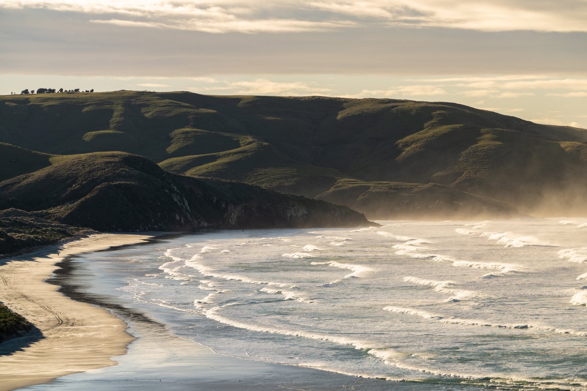 📢 Job alert 📢 NIWA and the University of @otago are seeking a Lecturer/Researcher in marine biogeochemistry & carbonate chemistry. Find all the details here ➡️ otago.taleo.net/careersection/… 📅 Applications close 10 September 2023 ⏰Permanent, fulltime 📍 Dunedin