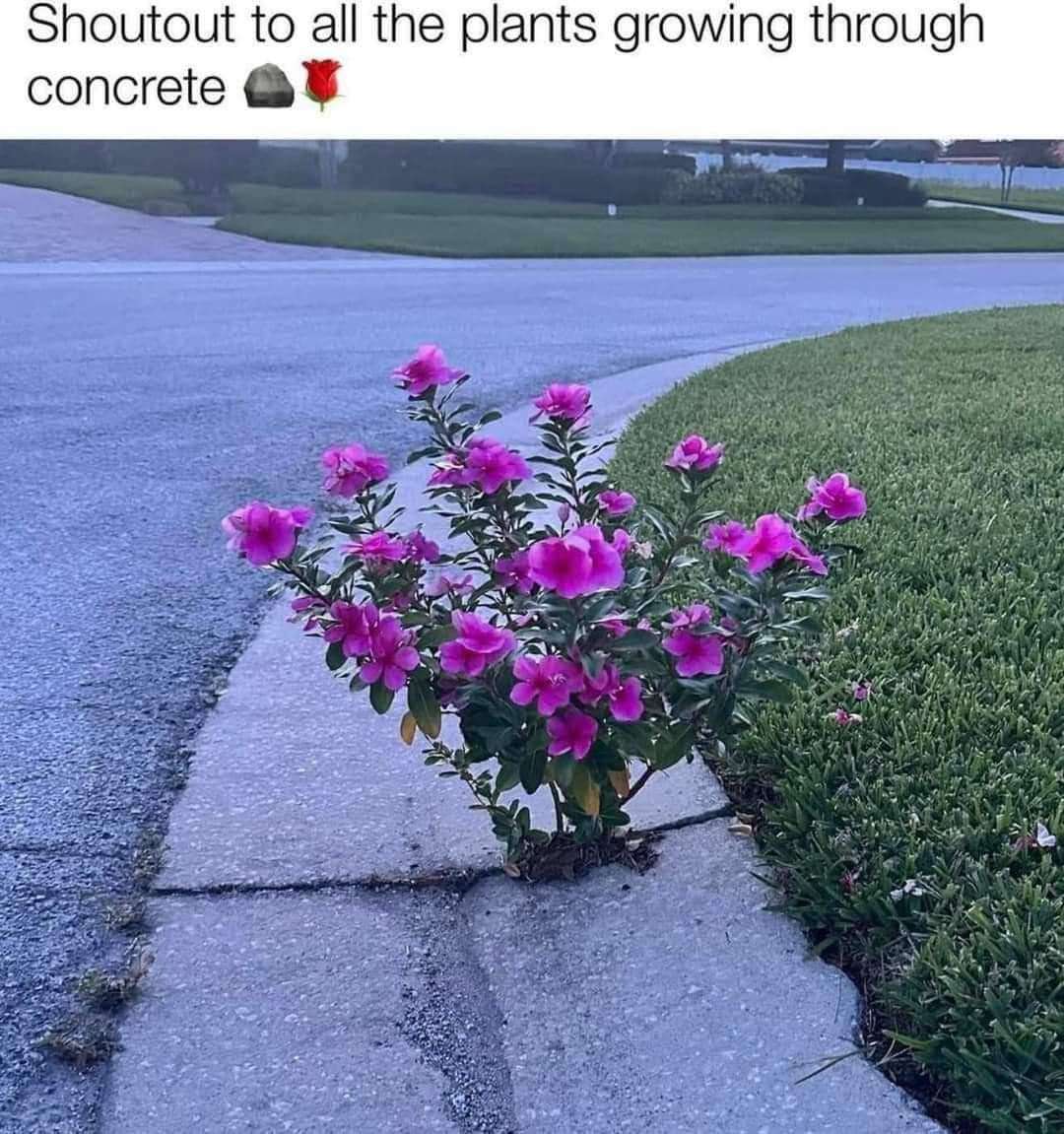 WholesomeMeme's tweet photo. https://t.co/5TFB82Pcsd