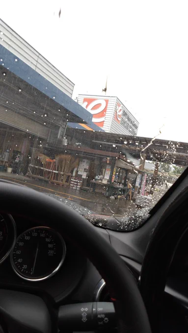 車から出ようとしたら雨強くなって鬱