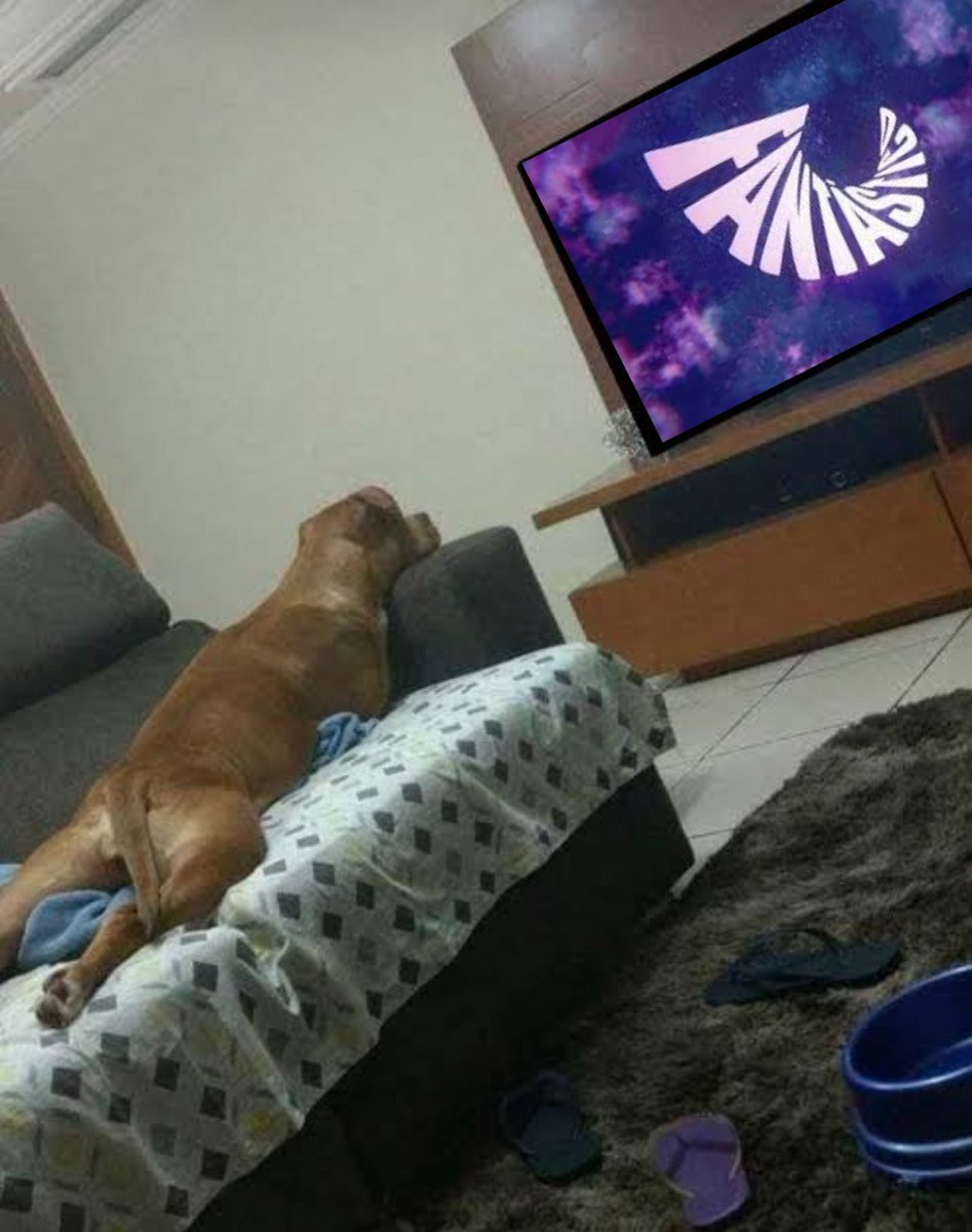 itimaliasof's tweet photo. eu tô assim esperando essa reportagem da Larissa Manoela https://t.co/nCsCAvzDYw