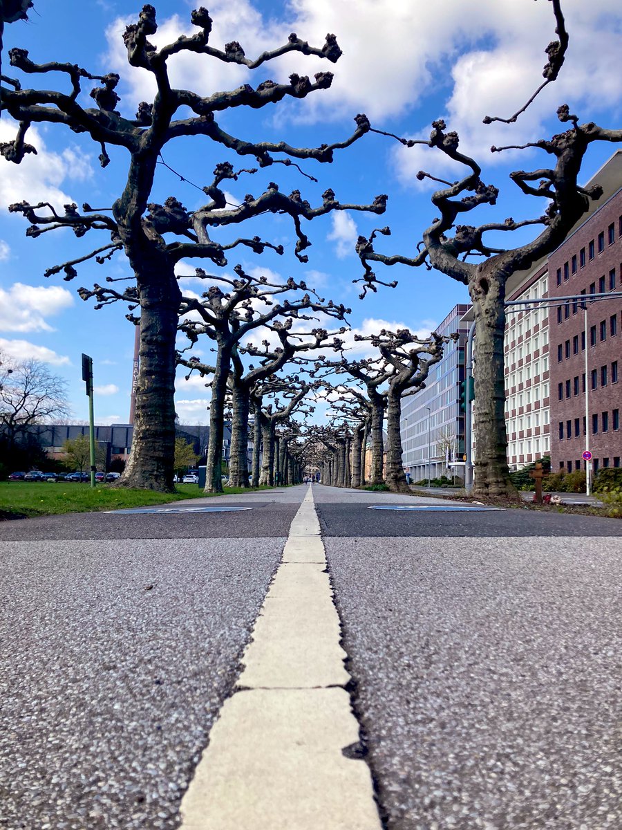pvcerri's tweet photo. 🇩🇪 https://t.co/sb8ix8Ofv9