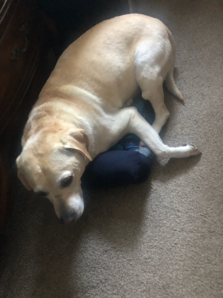 Juan de Saan 🇨🇦 tweet media