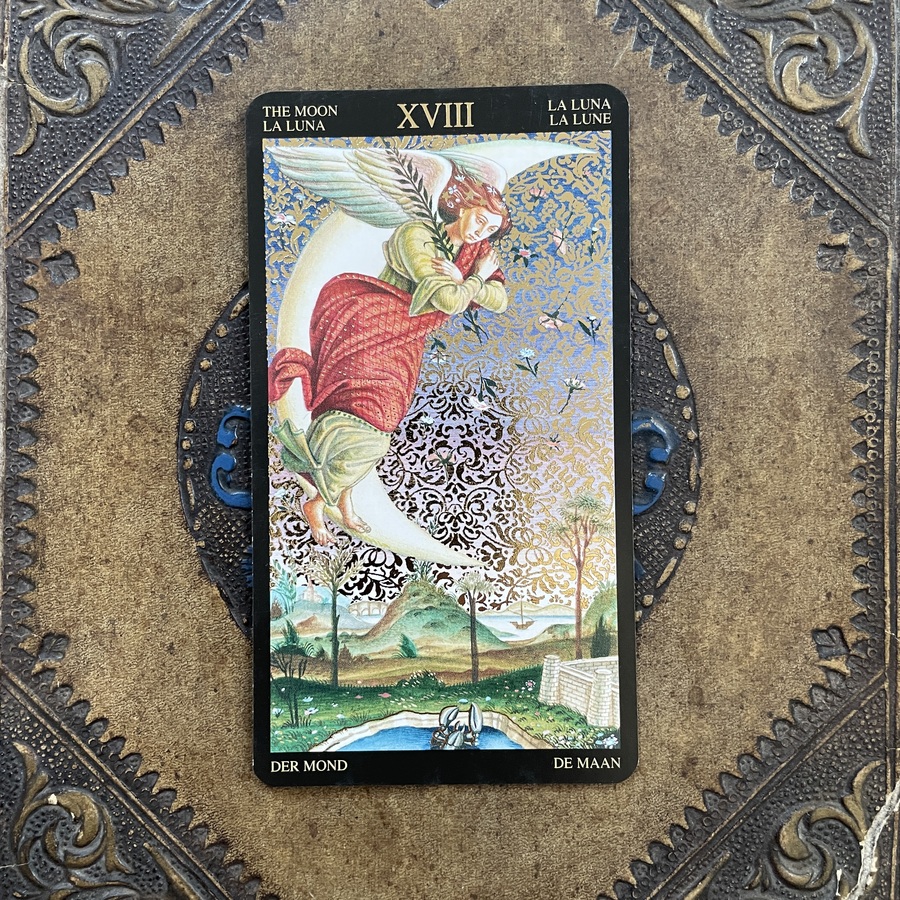 SymbolicTarot's tweet photo. How do the shadowy, surreal landscapes of your dreams, reflected in the Tarot's Moon card, reveal your hidden self and unexplored potential? #TarotReflections #DreamWisdom https://t.co/ZjwwHwfcIh