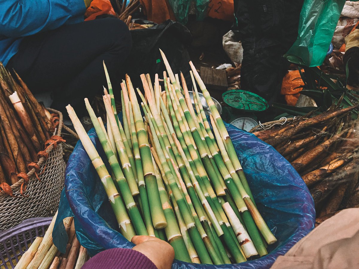 Ethnic minority specialties 🥬
📸 Canon EOS M10
#Twitter #ethnic #travel #photo #bloganh #vietnamese #canon #cannonphoto #eosm10 #mirroless