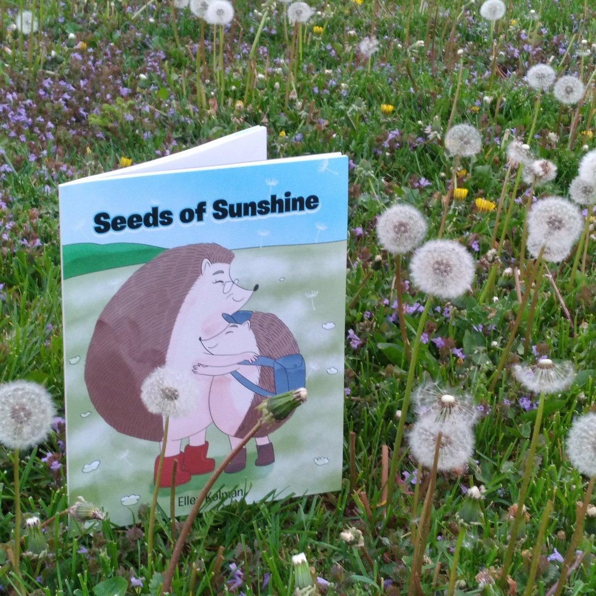 #writingcommunity 
#kidlt 
Seeds of Sunshine: Like a dandelion puff spreads its seeds into the world with a puff of air. Our words spread onto other people every time we speak. Will our words be seeds of kindness or weeds of hurt? #PB ellenkolman.com