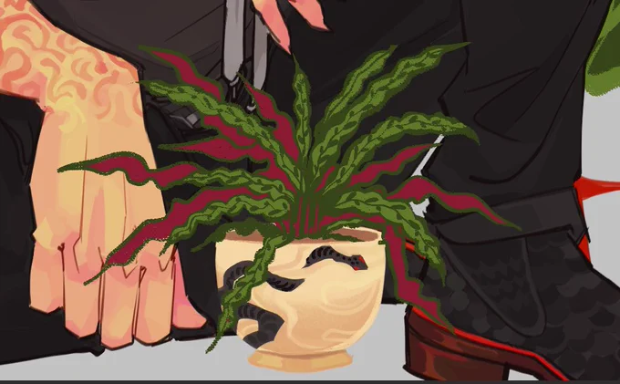 rattlesnake plant . . . (cooking ( (