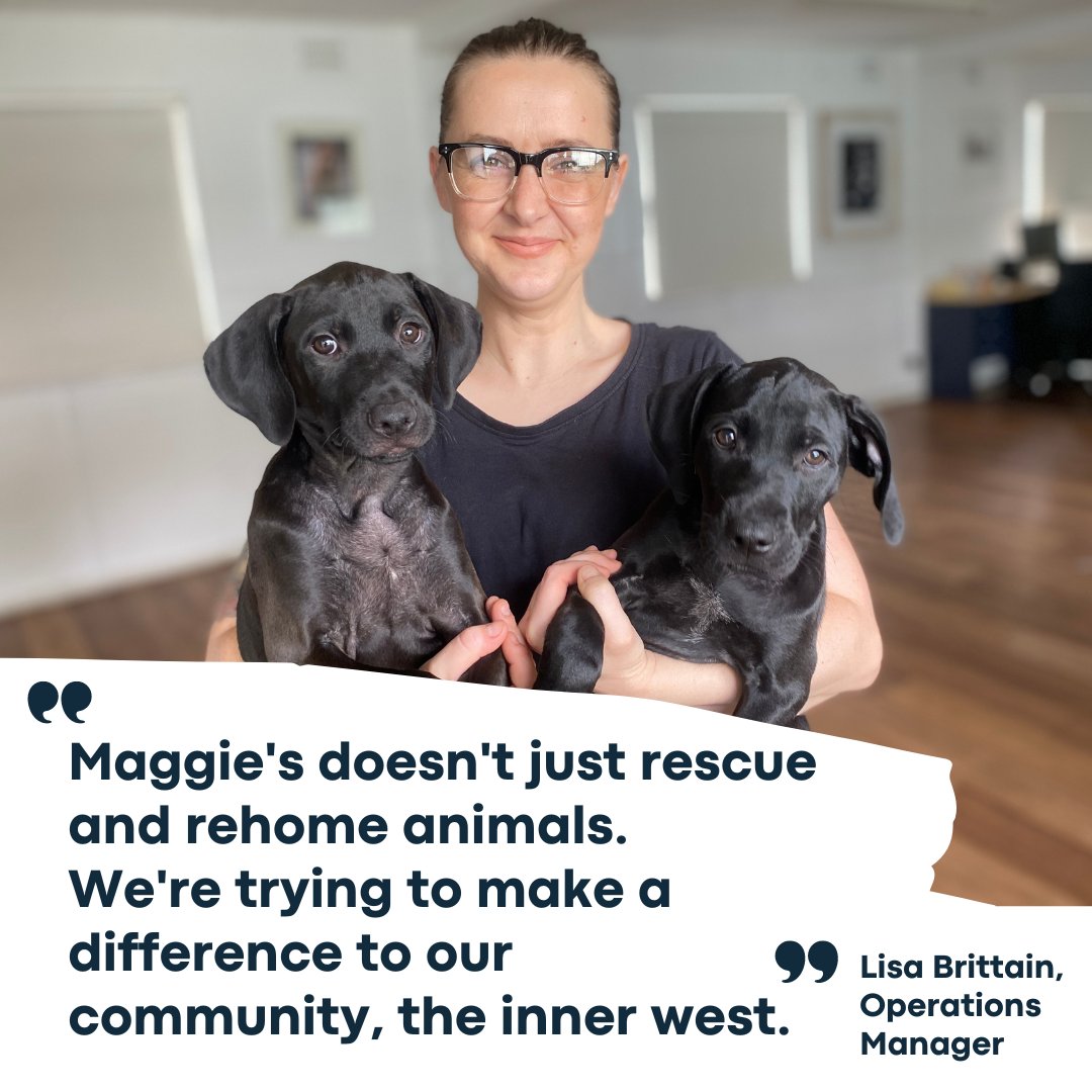 Inner West Icons podcast (@innerwesticons) on Twitter photo We 💛 Maggie's Rescue, a foster-based cooperative that rescues and rehome animals at <a href="/addi_road/">Addison Road Community Organisation</a> #Marrickville #Sydney
🐕🦺How did #MaggiesRescue start?
▶️Listen to 'Dogs of the Inner West' buff.ly/455sXjz
#podcast #auspods #rescuedog #innerwestsydney #aussierescues We 💛 Maggie's Rescue, a foster-based cooperative that rescues and rehome animals at <a href="/addi_road/">Addison Road Community Organisation</a> #Marrickville #Sydney
🐕🦺How did #MaggiesRescue start?
▶️Listen to 'Dogs of the Inner West' buff.ly/455sXjz
#podcast #auspods #rescuedog #innerwestsydney #aussierescues