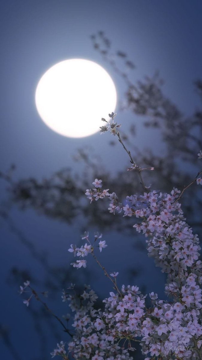 poetical photos. (@poeticalphotos) on Twitter photo 