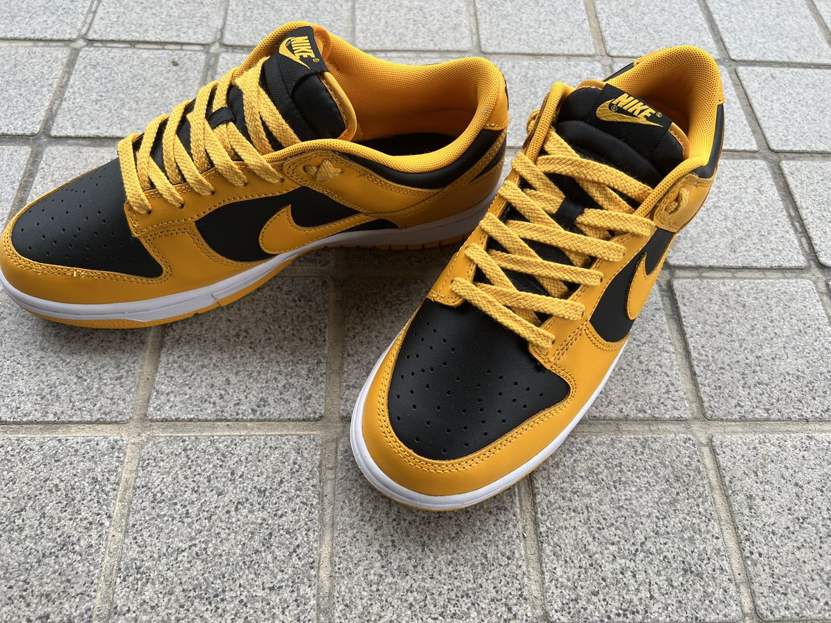 crazytomoki's tweet image. 今日から
この子ジムデビューさせますか✨