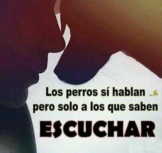 Guadalupe Ramirez tweet media