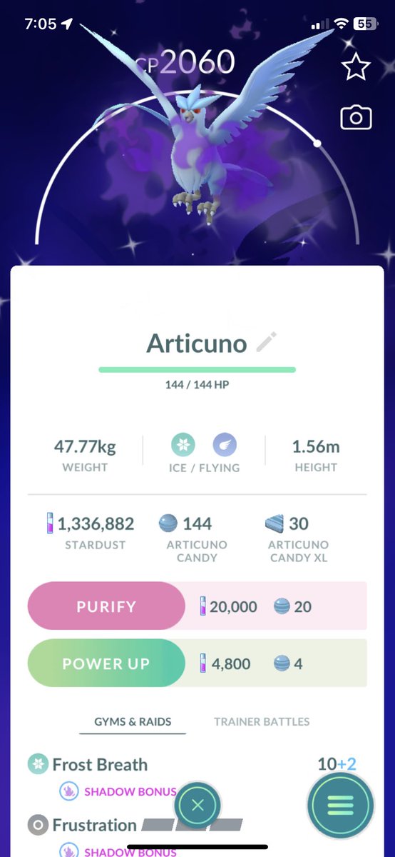 Samuel_0ak's tweet photo. UPDATE: got 13 more shinies, 4 of which being a shadow articuno, machop, bidoof, and sableye!! 28 shinies for one of my luckiest days ✨

#PokemonGO #ShinyPokemon #Samuel0ak https://t.co/elwNLyfP4r