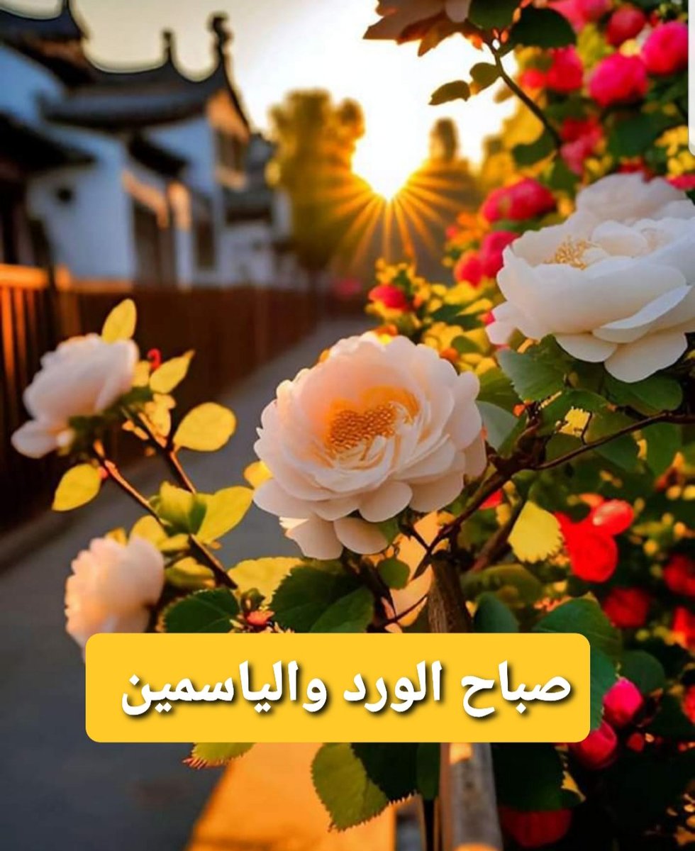 sar__224's tweet photo. اللهم :.
إن نسألك في هذا الصباح 
هدوء النفس 
وطمأنية القلب 
وانشراح الصدر 
وحياة مليئة بكل مايرضيك .

صباكم⚘️⚘️ــووورد

#باخرة_البووح
#مملكة_طارق_للدعم
⁧#مملكة_شيخه_للدعم https://t.co/saBRlKVe0o