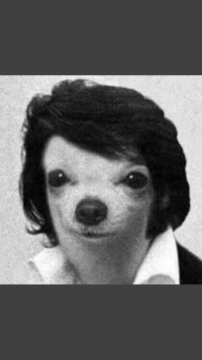 ๐๐ฟโโ๏ธ๐๐พโโ๏ธ๐๐ผ๐จ๐ฟโ๐ซ๐๐ปโโ๏ธ๐๐ผโโ๏ธ๐๐ฝโโ๏ธ tweet media