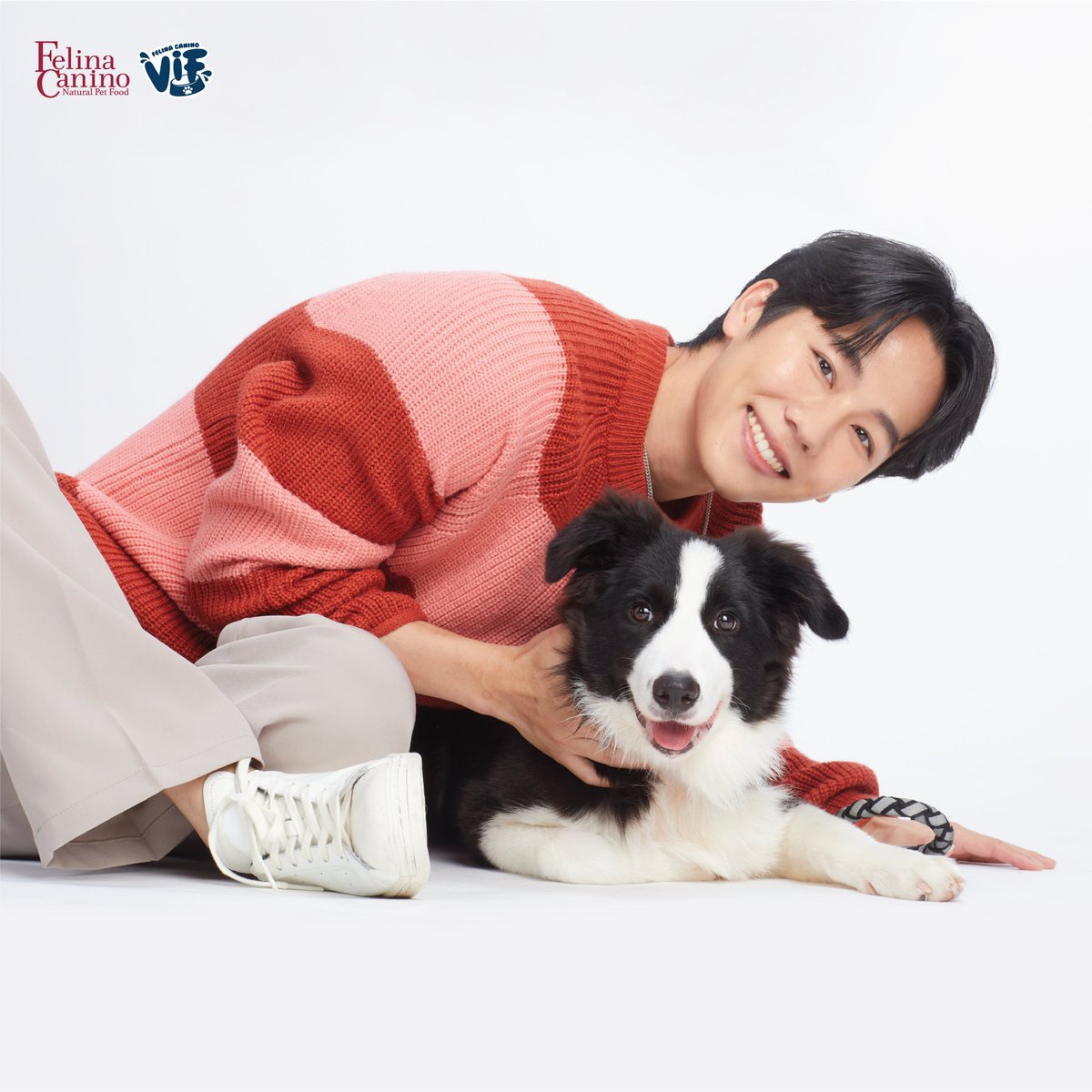 VIF_FC's tweet photo. “กอดป๊าอบอุ่นที่สุด” กอดลูกชายอุ่นได้แบบนี้ก็เพราะ "เฟลินา คานิโน” “ซิงเกิ้ล โปรตีน” และ “วิฟ”

แอดว่า Character ทุกคู่ดูชัดมาก ชัดในมุมไหนมาแชร์ไอเดียกัน💡
#อาซาร์แมวเซา #ZuluEcho5 #ก็องเต้แมวซน
#sammerbcollie #FelinaCanino #FelinaCaninoVIF
 @warwanarat @yinyin_anw @gulfkanawut https://t.co/VHFYHNFPQ6