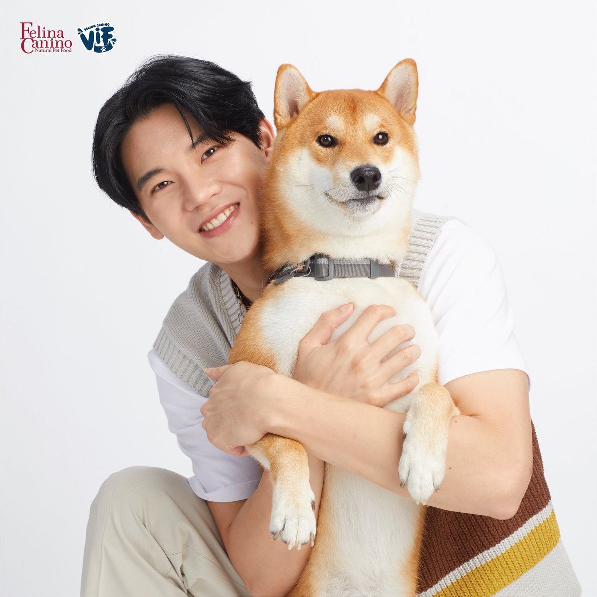 VIF_FC's tweet photo. “กอดป๊าอบอุ่นที่สุด” กอดลูกชายอุ่นได้แบบนี้ก็เพราะ "เฟลินา คานิโน” “ซิงเกิ้ล โปรตีน” และ “วิฟ”

แอดว่า Character ทุกคู่ดูชัดมาก ชัดในมุมไหนมาแชร์ไอเดียกัน💡
#อาซาร์แมวเซา #ZuluEcho5 #ก็องเต้แมวซน
#sammerbcollie #FelinaCanino #FelinaCaninoVIF
 @warwanarat @yinyin_anw @gulfkanawut https://t.co/VHFYHNFPQ6