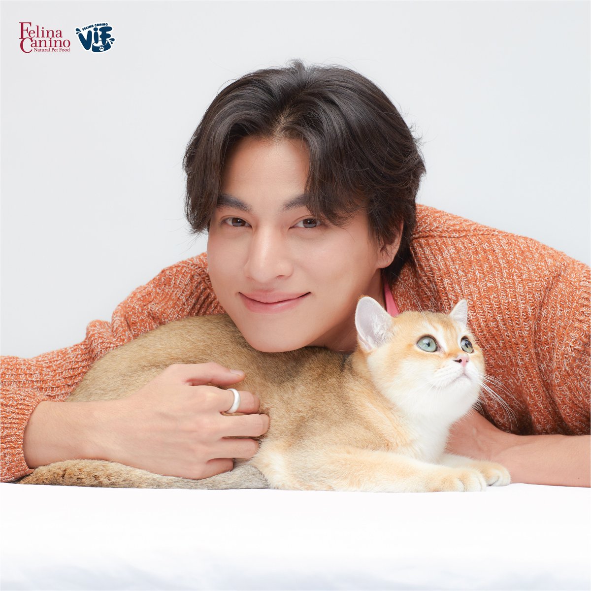 VIF_FC's tweet photo. “กอดป๊าอบอุ่นที่สุด” กอดลูกชายอุ่นได้แบบนี้ก็เพราะ "เฟลินา คานิโน” “ซิงเกิ้ล โปรตีน” และ “วิฟ”

แอดว่า Character ทุกคู่ดูชัดมาก ชัดในมุมไหนมาแชร์ไอเดียกัน💡
#อาซาร์แมวเซา #ZuluEcho5 #ก็องเต้แมวซน
#sammerbcollie #FelinaCanino #FelinaCaninoVIF
 @warwanarat @yinyin_anw @gulfkanawut https://t.co/VHFYHNFPQ6