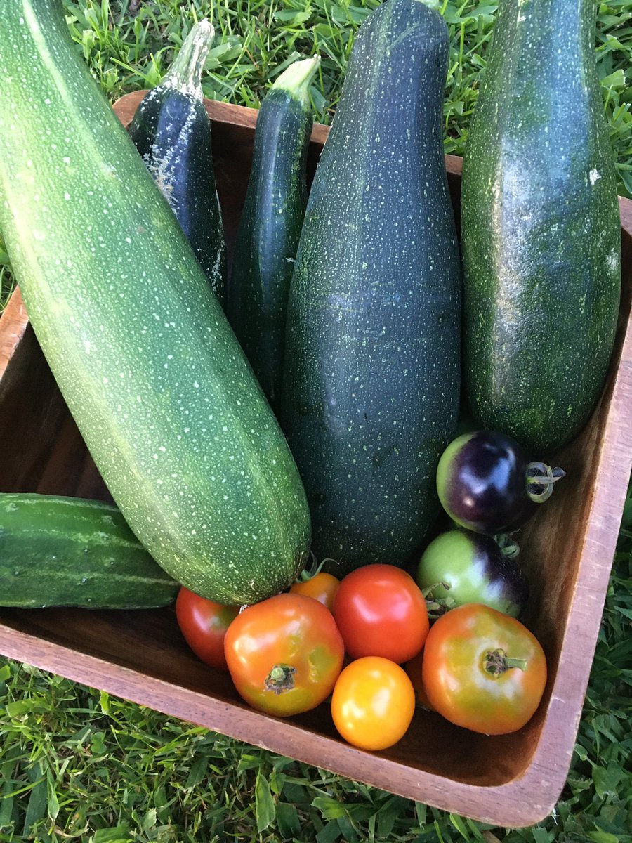 All the handwringing over wether gardening is worth the effort, or should provide self-sufficiently, or matters…who cares! These foods are delicious and beautiful. That should be enough. #GardeingX