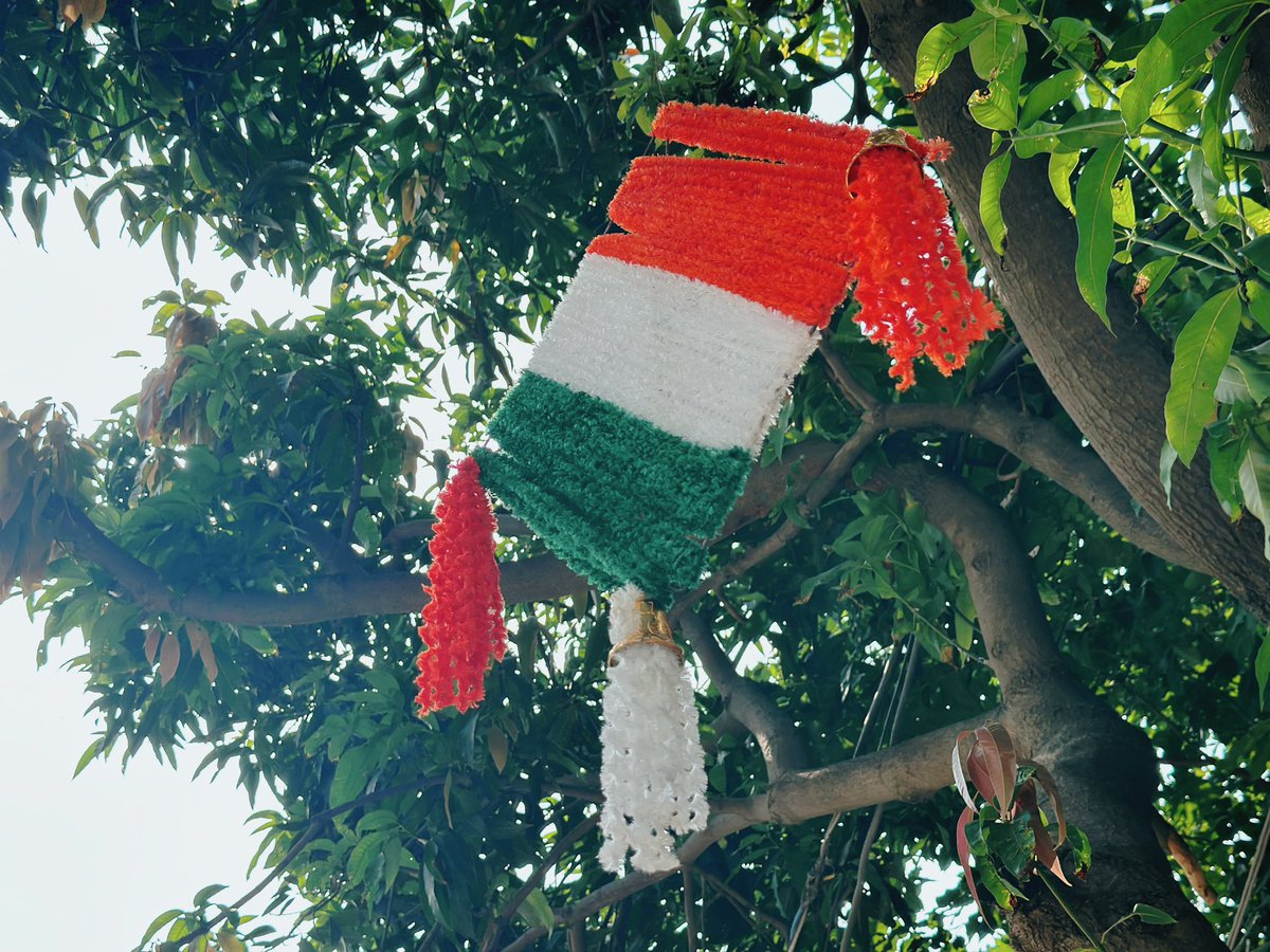 yuri_nkmra's tweet photo. #IndependenceDayIndia is coming 🇮🇳

8月15日はインド独立記念日！
街はすっかり記念日モード、国旗カラーで溢れてます🧡🤍💚
街中のさり気ない飾りがお気に入り✌️

記念日に向けて？朝7時から謎の大音量スピーカーボイスで目覚めた朝ですおはようございます☺️

#インド　#インドニュース 🇮🇳 https://t.co/a6GSDZUHzX