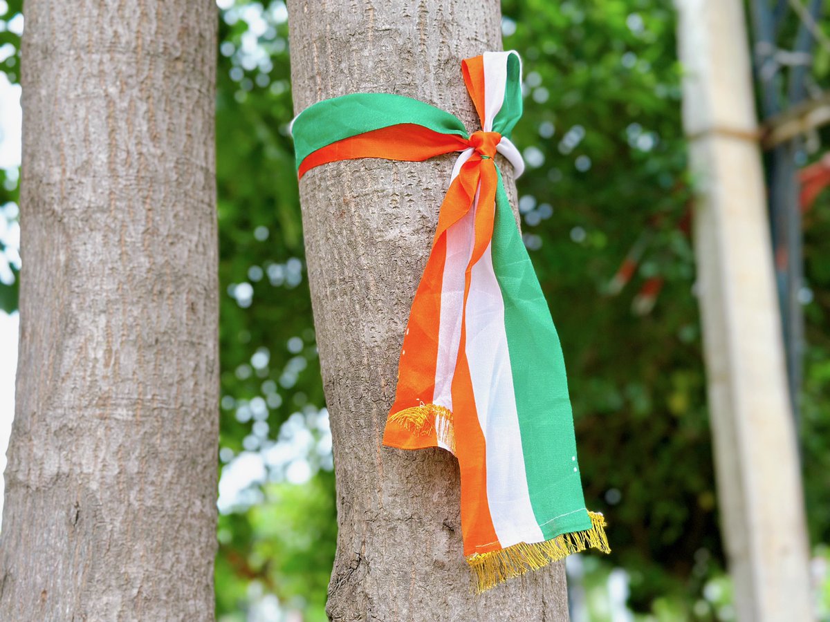 yuri_nkmra's tweet photo. #IndependenceDayIndia is coming 🇮🇳

8月15日はインド独立記念日！
街はすっかり記念日モード、国旗カラーで溢れてます🧡🤍💚
街中のさり気ない飾りがお気に入り✌️

記念日に向けて？朝7時から謎の大音量スピーカーボイスで目覚めた朝ですおはようございます☺️

#インド　#インドニュース 🇮🇳 https://t.co/a6GSDZUHzX