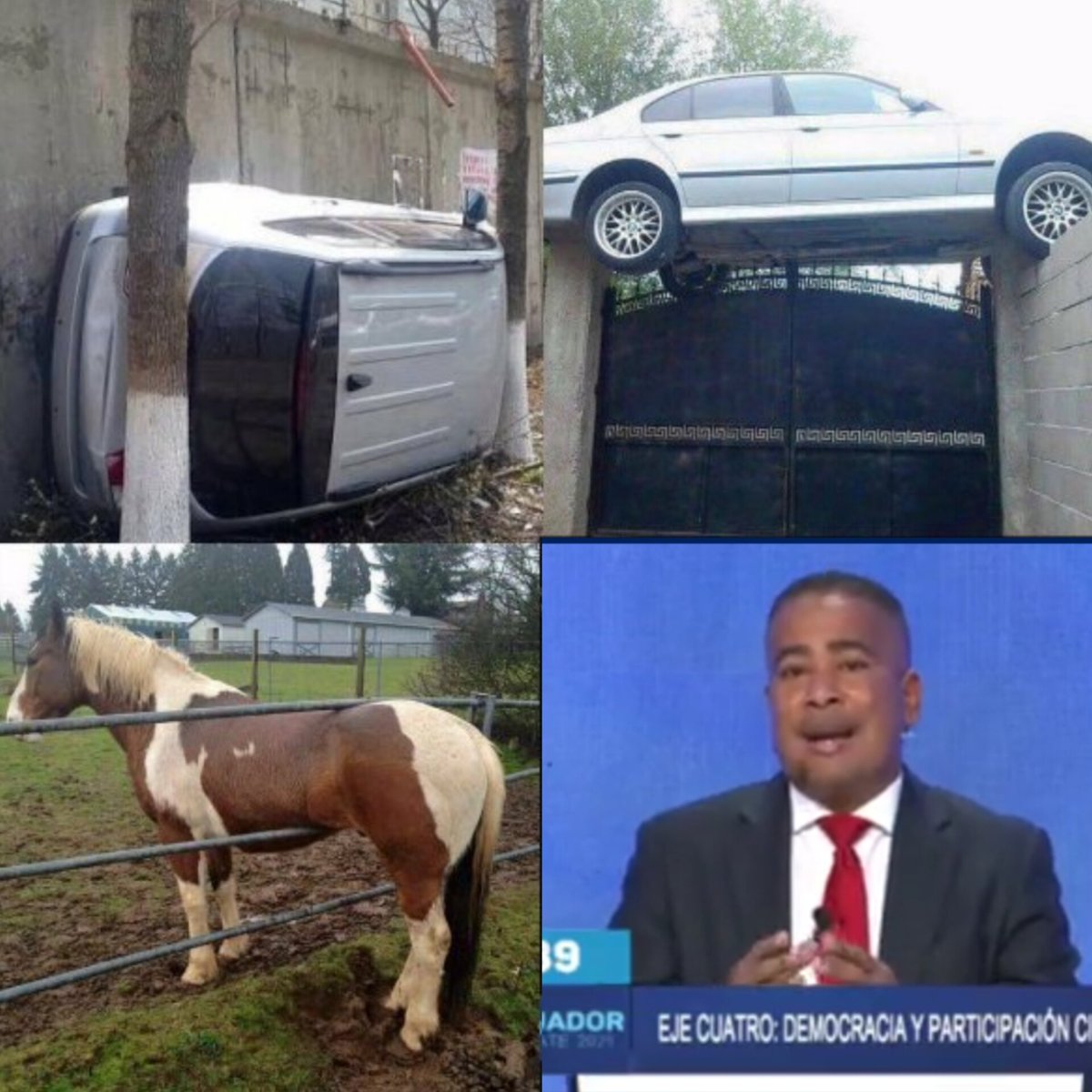 Cosas que no sabemos cómo llegaron ahí
#bolivararmijos
#DebatePresidencial2023