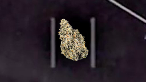 ufo spotted over cookies maywood 🛸