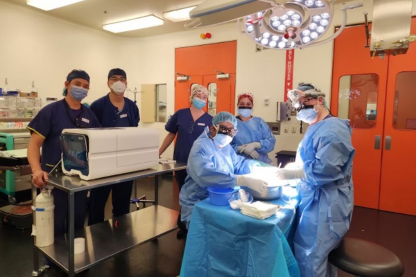 Last week saw an Aus first where a kidney was transplanted following the use of a new hypothermic oxygenated perfusion machine. More than 30 staff came together to make the transplant a reality. Read more: bit.ly/3ORTdYX