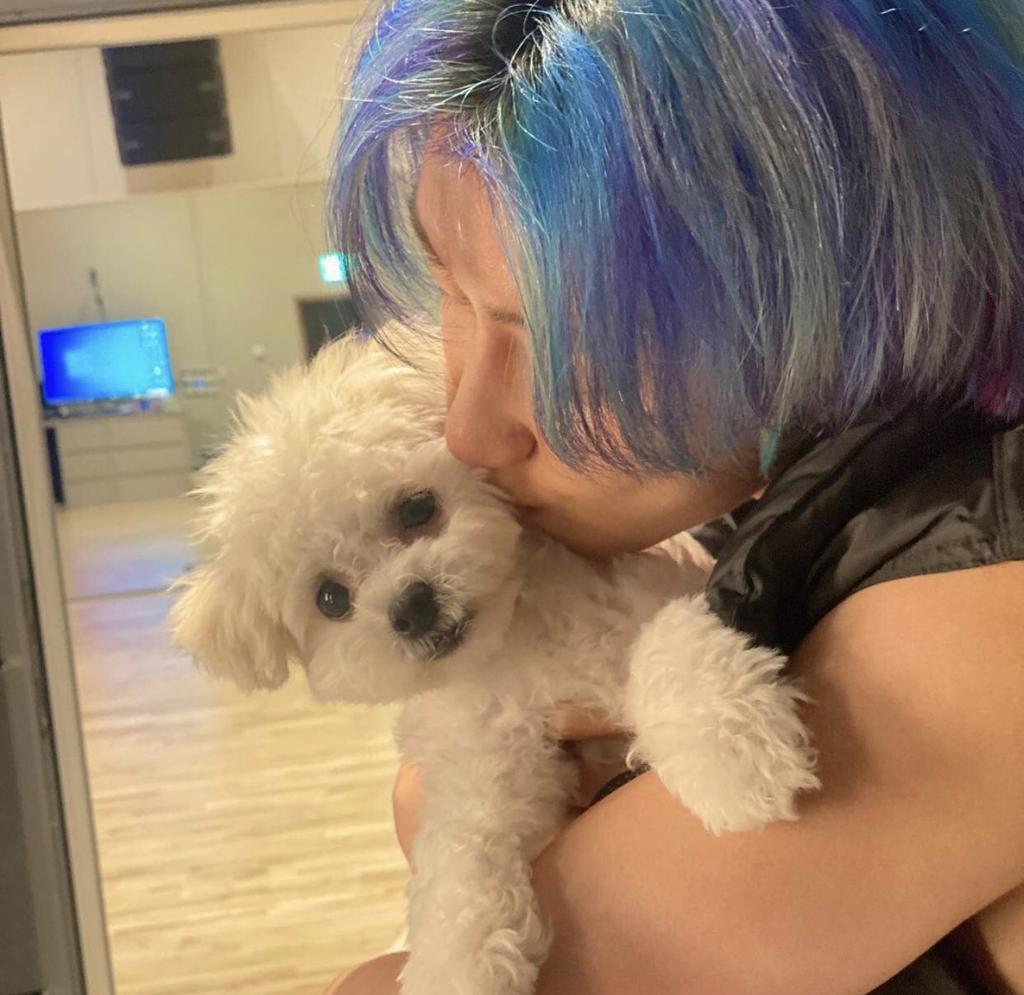 haotonin's tweet photo. it's missing hao's pretty galaxy hair hours https://t.co/eWGvhC8HrP