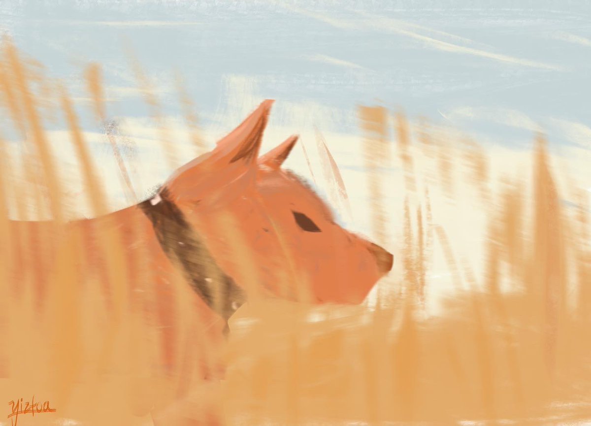 Yiztoa's tweet photo. Doggo #art #digitalart https://t.co/djf8rz4xM7