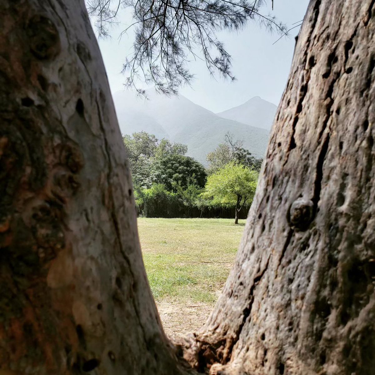 lozanohector's tweet photo. #AmorYPaz
Sabemos que la vida es un juego de obstáculos y retos
Disfruta de la espontaneidad y ten presente los posibles escenarios
#AnticipArte es el camino hacia la iluminación
#PreparArte para afrontar la Indiferencia…
… disfrutar el proceso
#EnLaVidaYEnLaCancha
#AbrazoDeGol https://t.co/FLiaqwMzTg