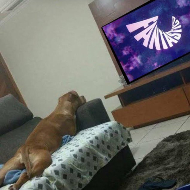 Melhores tweets sobre o caso Larissa Manoela x Pais - a thread.