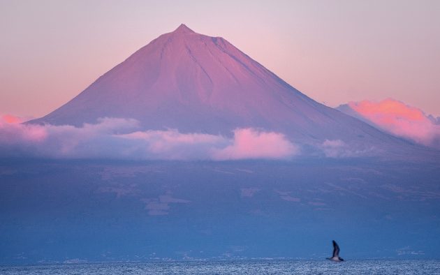 The Azores can be so much more than a mid-ocean stop. 

trib.al/1lSckvc