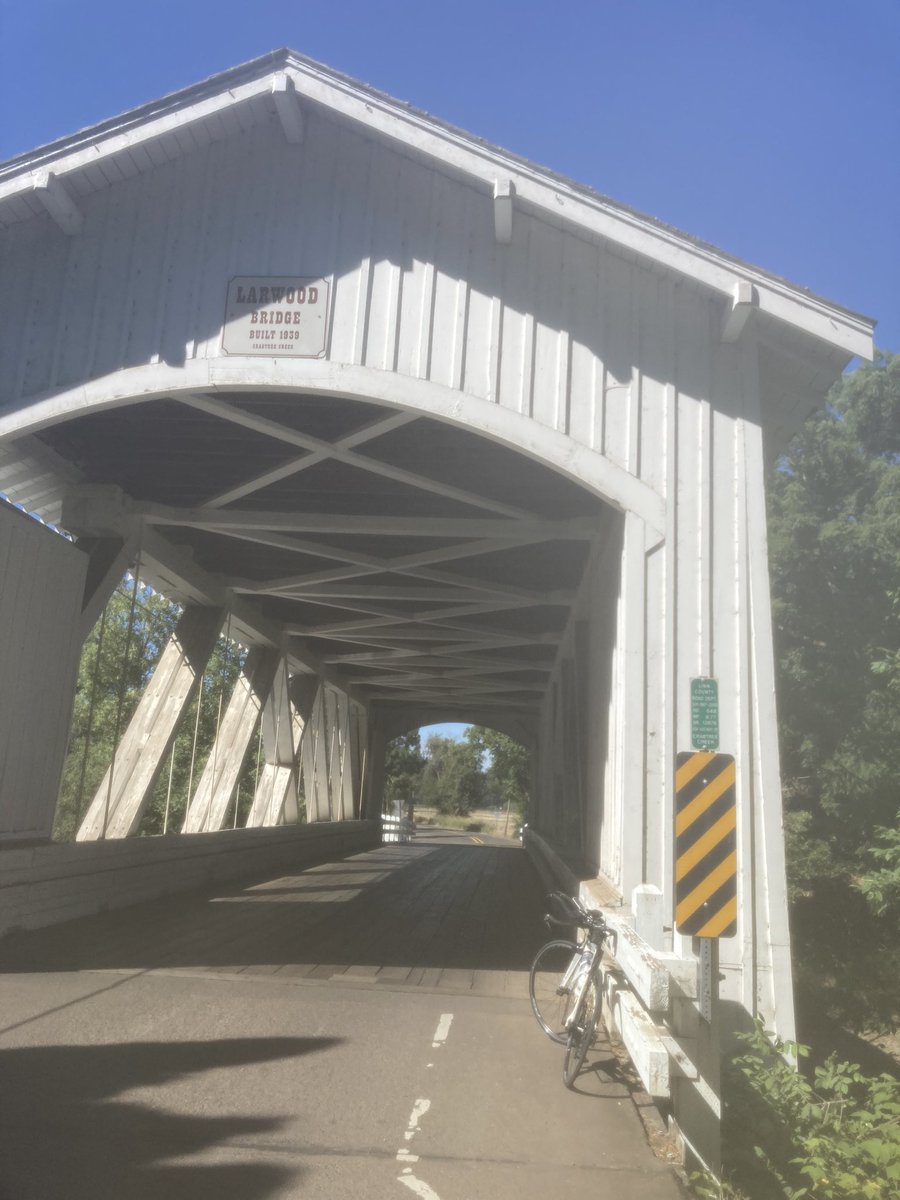 Sarah Caballero tweet media