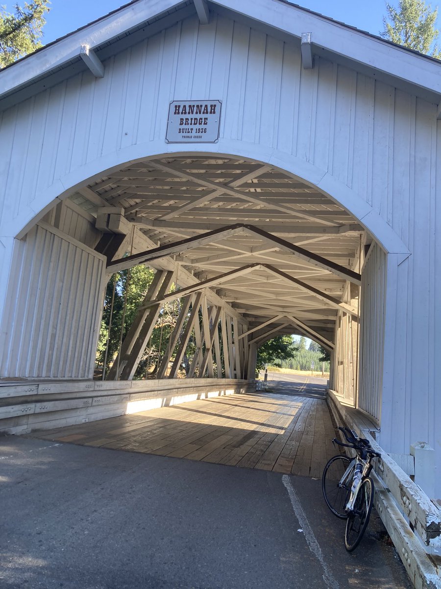 Sarah Caballero tweet media