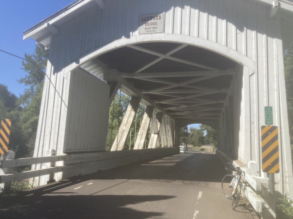 Sarah Caballero tweet media