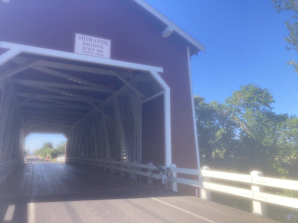 Sarah Caballero tweet media