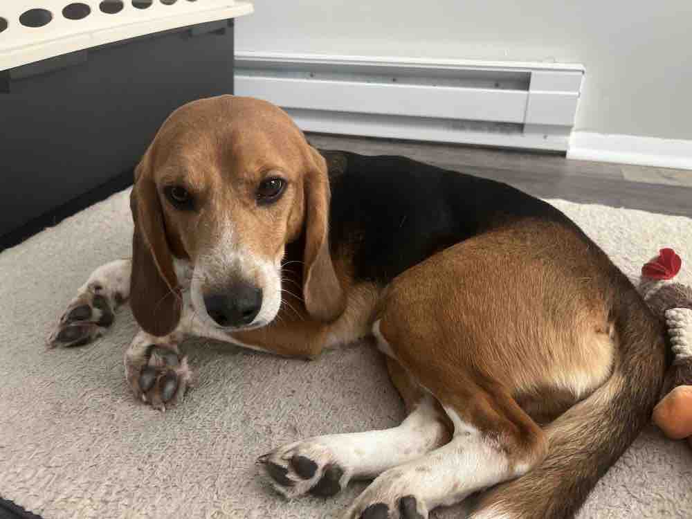 Keith Olbermann tweet media