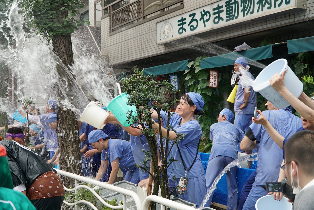 mikoshi_japan's tweet photo. 昨日の深川まつりより。
一番気合い入っていたのが動物病院だった件

#富岡八幡宮 #深川八幡祭 
#神輿 https://t.co/wpu0IBngvG