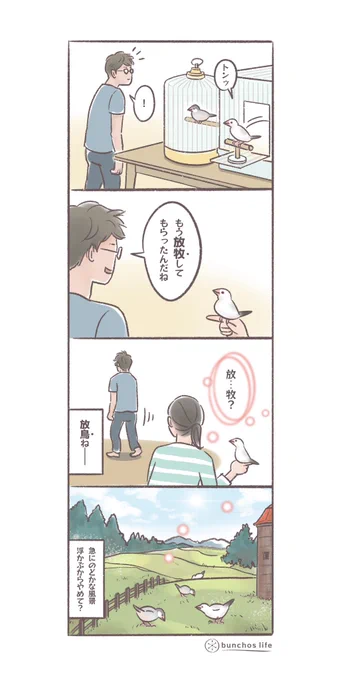 放牧と放鳥、一文字間違えるだけで違う風景が浮かぶからやめて #文鳥 #4コマ漫画   *過去作ダウンロードできます!(固定ツイート参照)