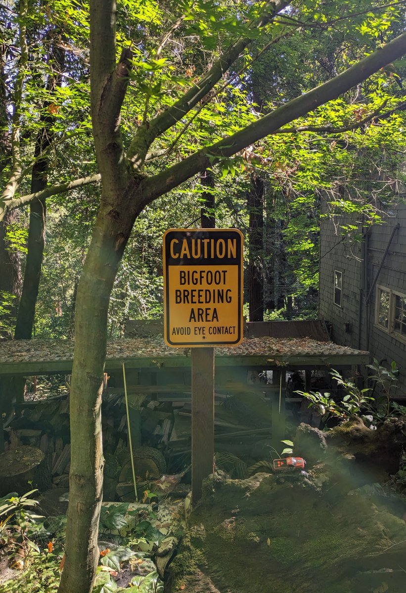 Serena Silverlake tweet media