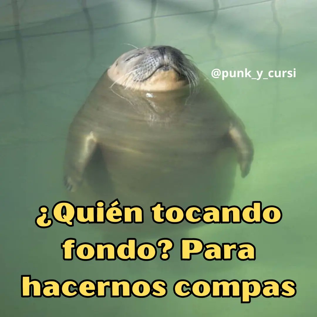 punk_y_cursi's tweet image. 🌊