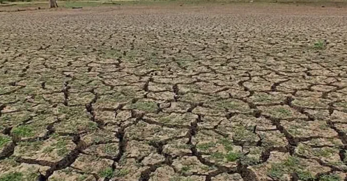 TribuneCeylon's tweet photo. Severe drought situation reports in several districts, over 163,000 people are facing drinking water shortages.#LKA #DroughtSL #WeatherSL #SriLanka https://t.co/mEWkXaMLUA
